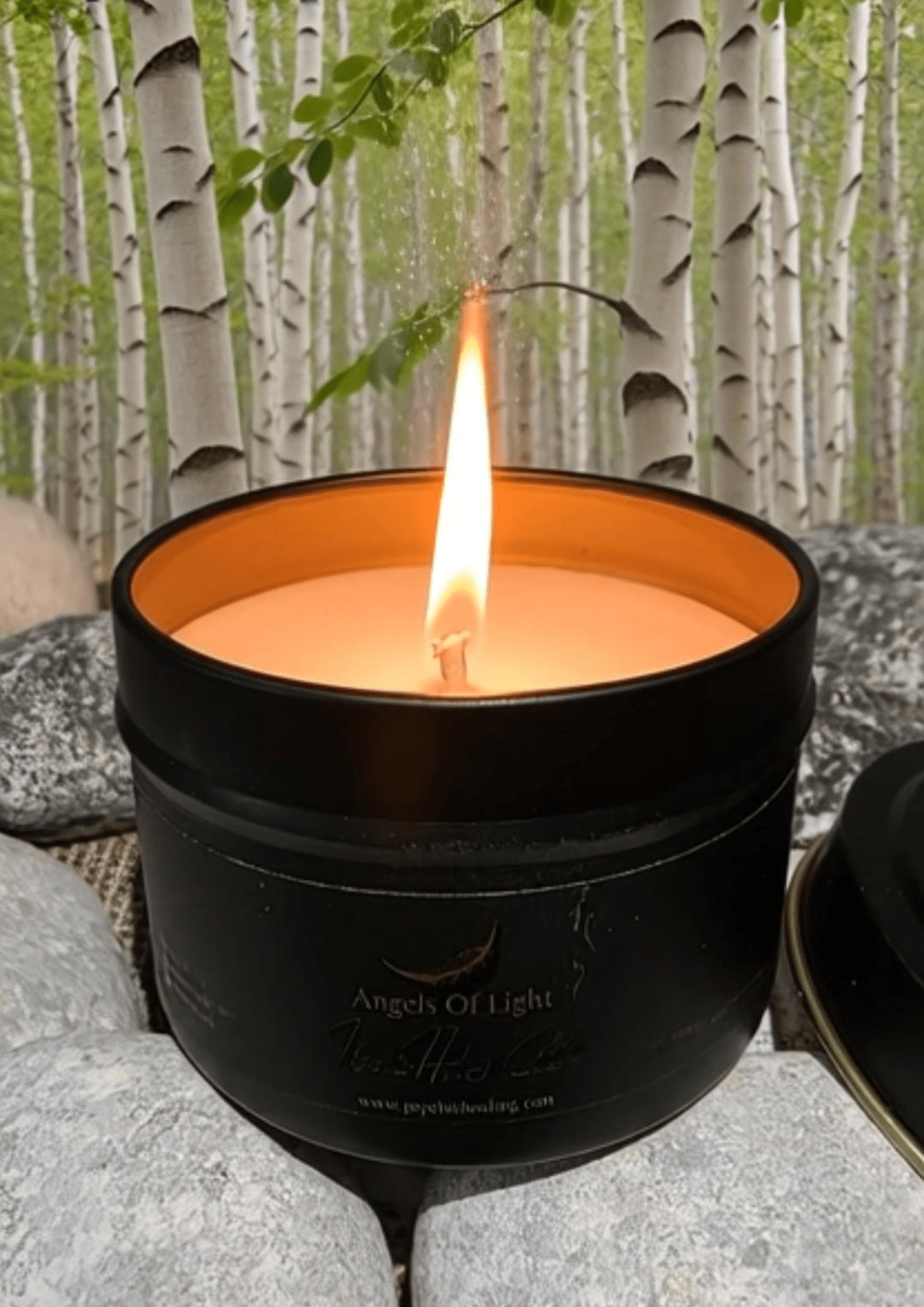 Cedarwood Soy Scented Candle for Healing and Relaxation - My Heavenly Candles